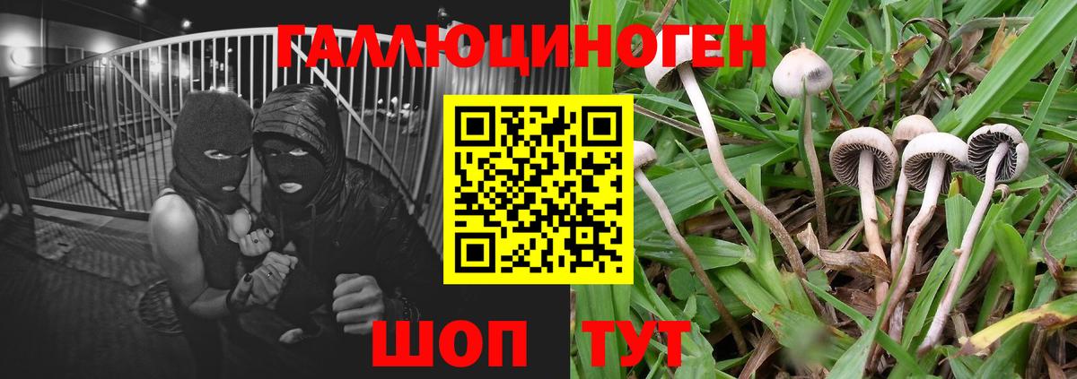 Псилоцибиновые грибы мицелий  Вход с VPN  Псилоцибиновые грибы Cubensis  Людиново 